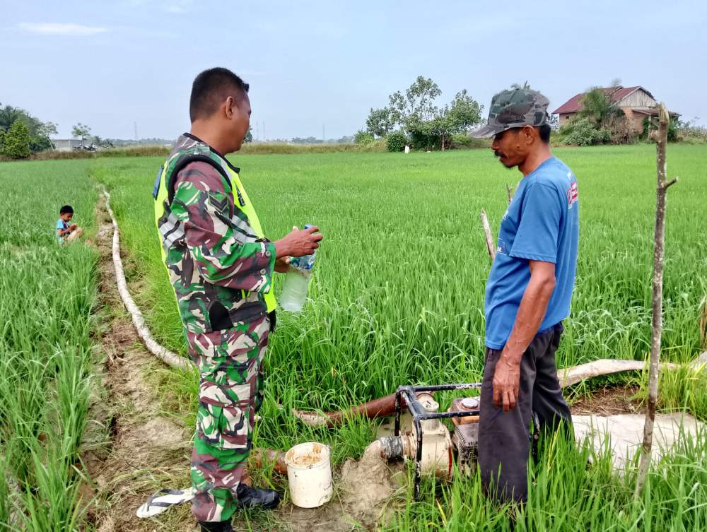 Babinsa Koramil 06/Manyak Payed Komsos Dengan Petani, Guna Meningkatkan Ketahanan Pangan