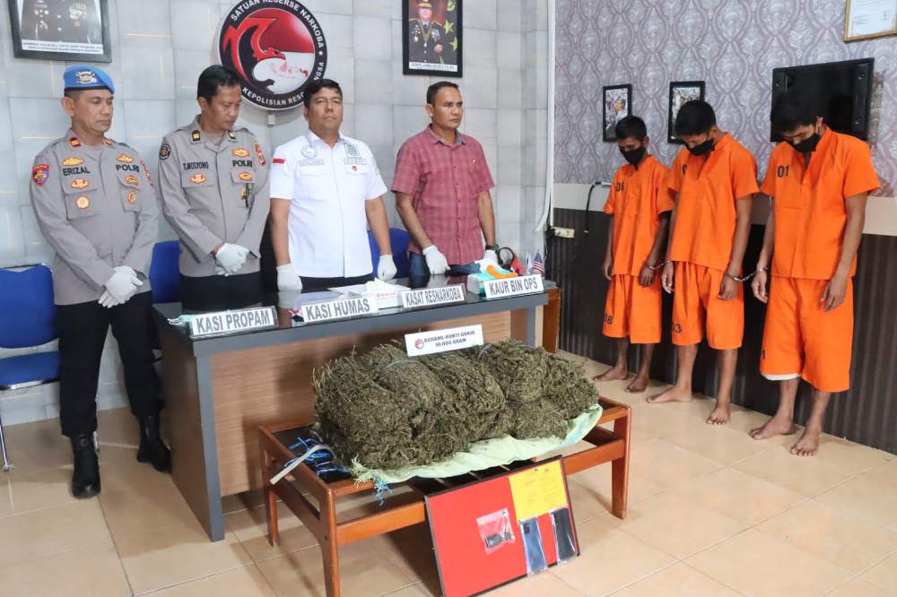 Polres Langsa Amankan 10 Kilogram Ganja, 3 Tersangka Berhasil Ditangkap