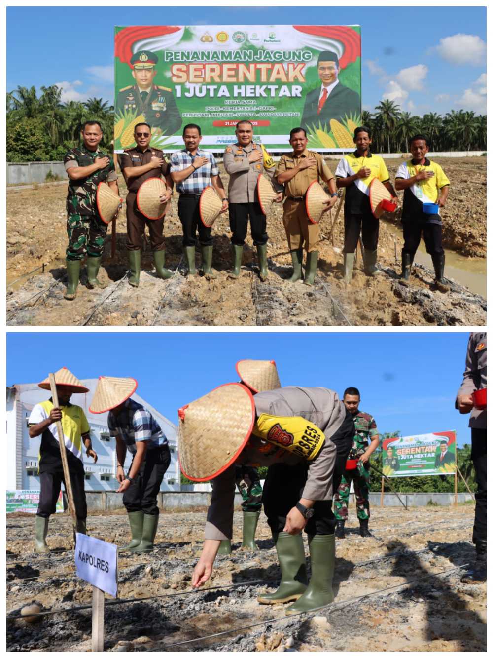 Polres Aceh Tamiang Gelar Penanaman Jagung Serentak 1 Juta Hektar