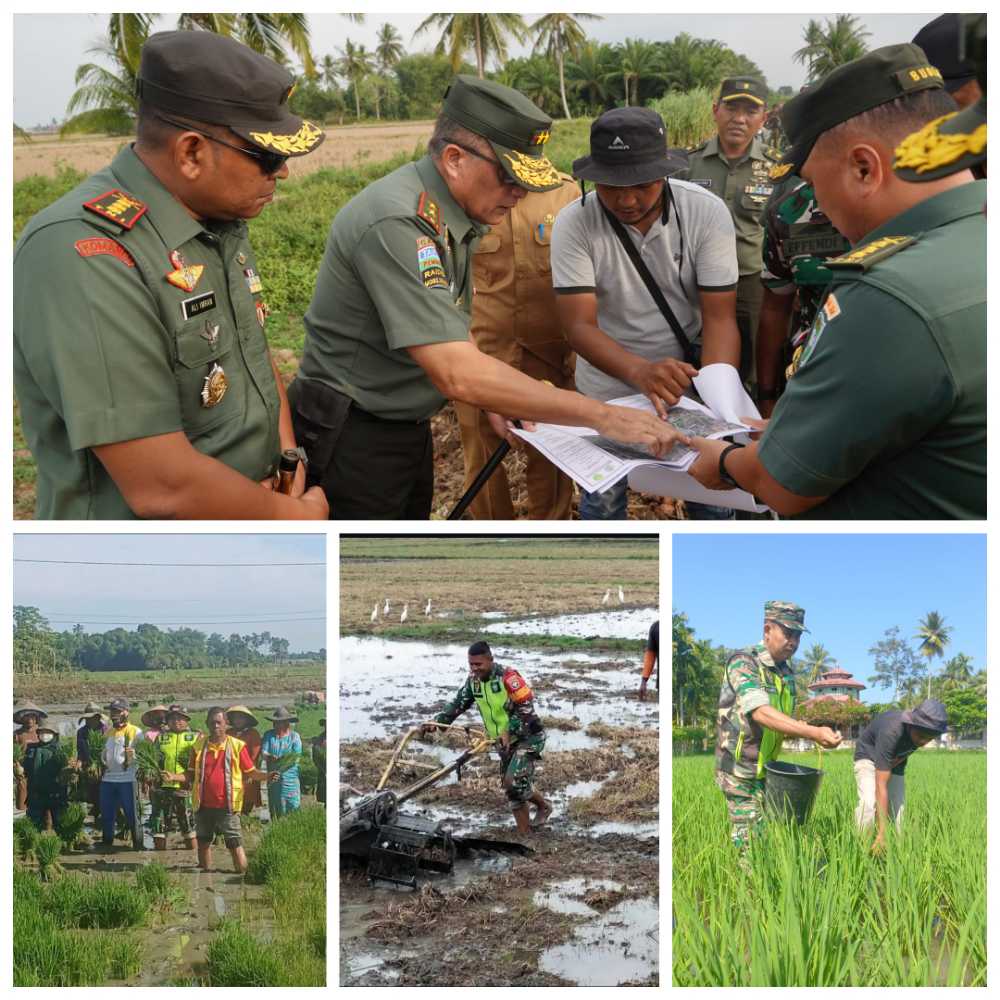 Dukung Program Ketahanan Pangan Nasional, Kodam IM tuntaskan program Optimasi Lahan di Aceh.