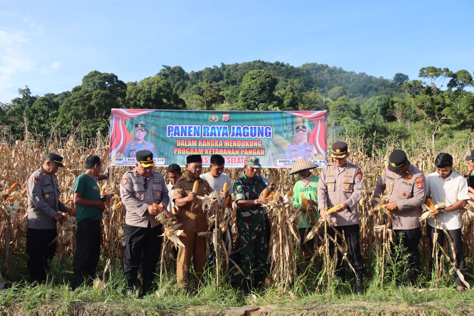 Polres Aceh Selatan Dukung Ketahanan Pangan Lewat Panen Raya Jagung di Bakongan Timur