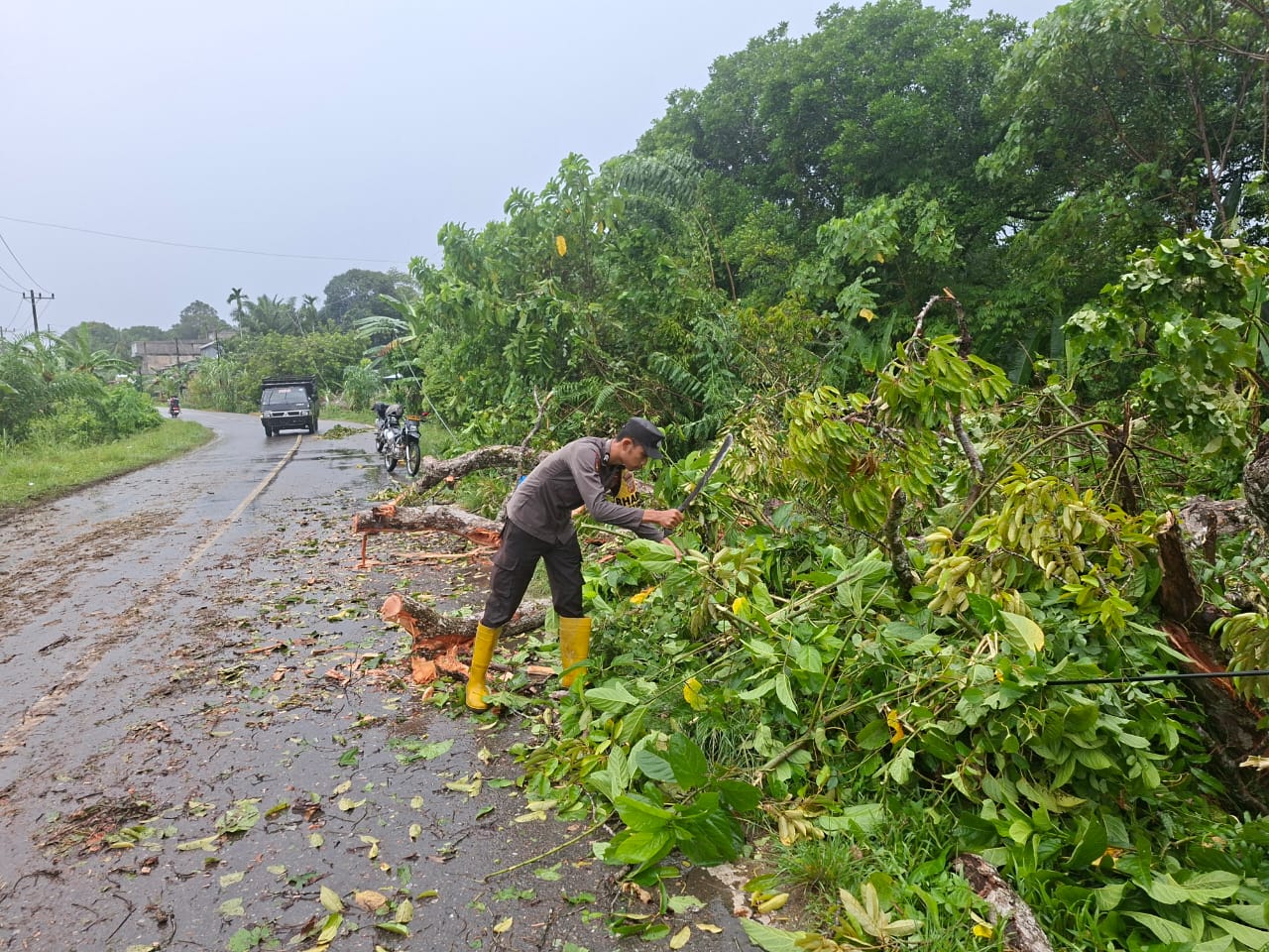 Polsek Trumon Timur Tanggap Atasi Pohon Tumbang, Lalu Lintas Kembali Lancar