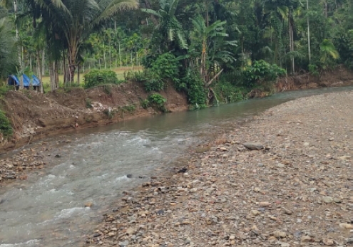 Tebing Krueng Mersak Terus Terkikis, Warga Kluet Tengah di Bawah Bayang-bayang Ancaman
